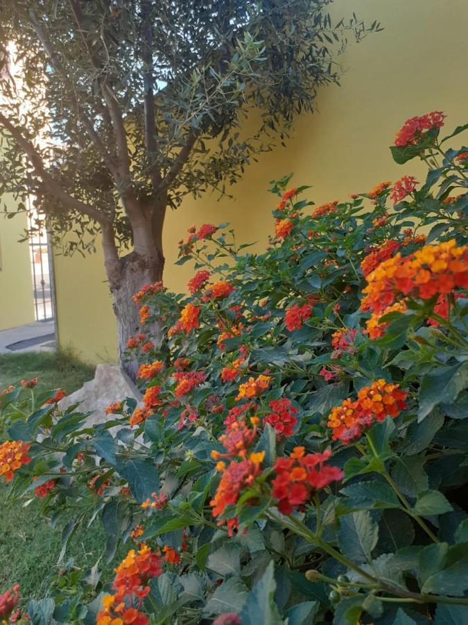 A In Zona Residenziale Apartamento *